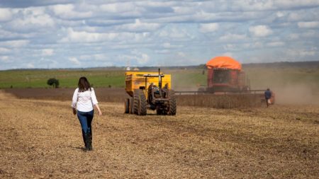 Produtores já paralisam colheita por falta de diesel e setor alerta para risco de perder grãos