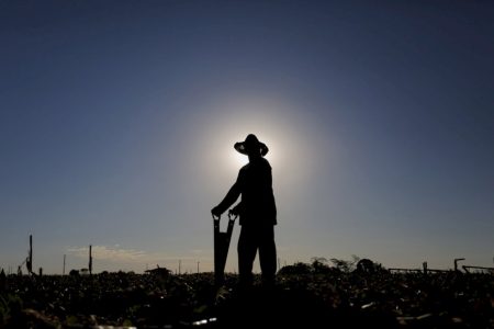 Fim da escala 6×1 pode gerar impacto bilionário no agro