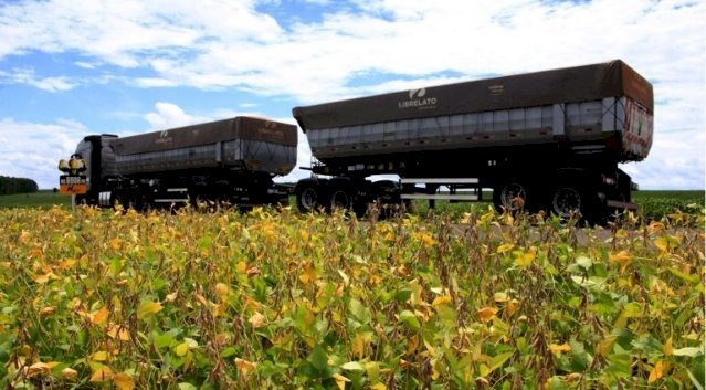 Escoamento da soja faz fretes oscilarem entre queda de 8% e alta de 33% em MS