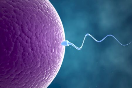 O componente da dieta que pode sabotar a fertilidade
