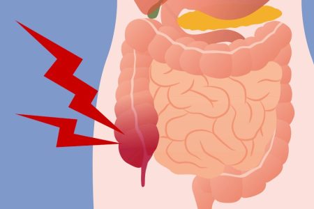 Para que serve o apêndice? Biólogos explicam a evolução do órgão