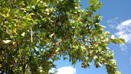 Sexta-feira Santa terá sol, calor e variação de nuvens no estado