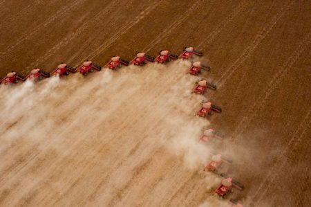 Agro liderou as solicitações de recuperação judicial no último ano, aponta Serasa
