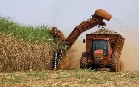 Cana por sementes ganha unidade de R$ 100 milhões e mira dobrar a produtividade até 2040