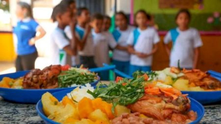 FNDE determina aplicação mínima de 45% dos recursos da merenda na agricultura familiar