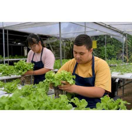 Agro Inclusivo MS: proposta garante autonomia para pessoas com deficiência