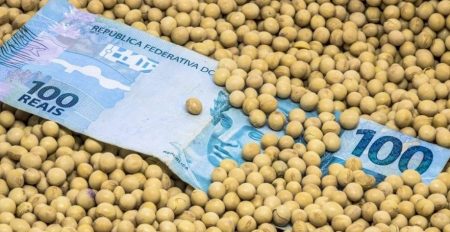 Plano Safra ainda tem 62% de crédito rural equalizado para agro empresarial