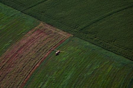 Aprimoramento genético promove ganhos em produtividade e sustentabilidade no agro brasileiro