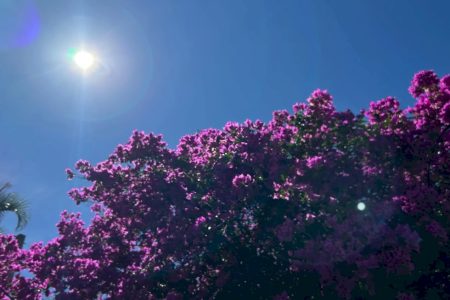Frio e tempo firme marcam amanhecer no Vale do Ivinhema e em Mato Grosso do Sul