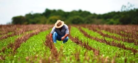 Crise financeira no agro ameaça próxima safra no país