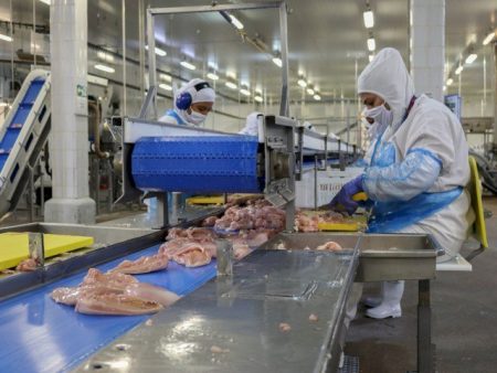 Exportações de carne de frango apresentam recordes históricos