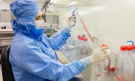 Estudo usa células-tronco contra complicações do transplante de medula.