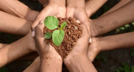 Semana do Meio Ambiente mobiliza escolas e instituições em Ivinhema com ações educativas e premiações
