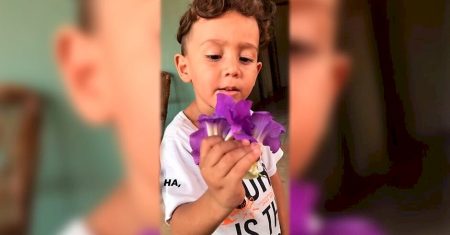 Mãe pede fim de julgamentos após morte de menino atropelado em MS