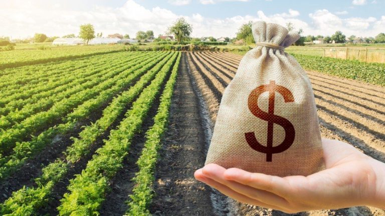 Caixa aguarda mais impacto de inadimplência na carteira de crédito do agro nas provisões deste ano