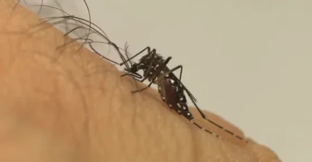 Menino de 12 anos é a 22ª morte por chikungunya em MS