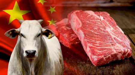 Brasil tenta rever cota chinesa para exportação de carne bovina e fim da sobretaxa de 50% em 2027