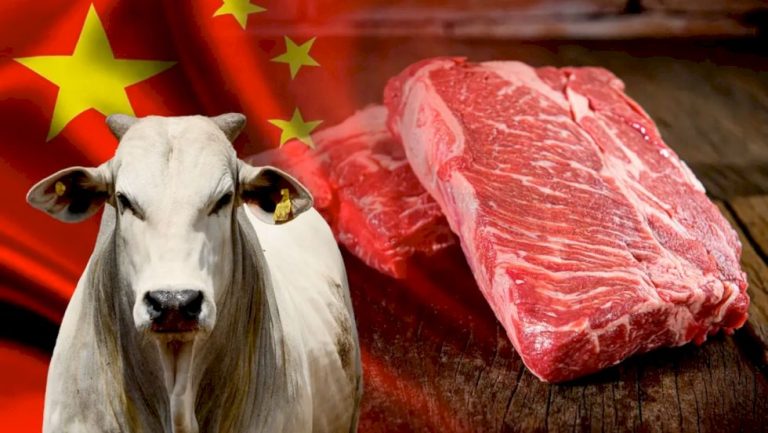 Brasil tenta rever cota chinesa para exportação de carne bovina e fim da sobretaxa de 50% em 2027