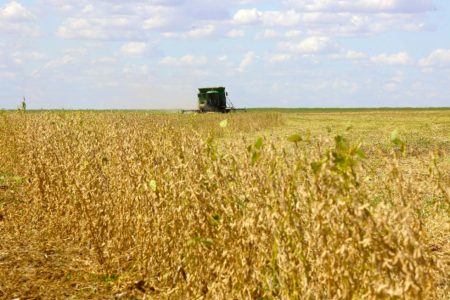 Até R$ 53,4 milhões ficam pelo caminho quando a colheitadeira não está bem regulada