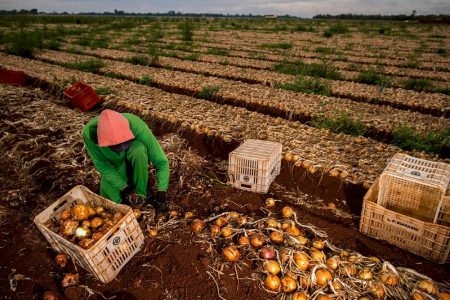 Em semana de votação histórica, governo abre ofensiva contra medidas que ajudam produtor rural