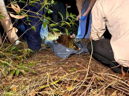 Ossada é encontrada em fazenda e pode ser de homem desaparecido há 3 anos