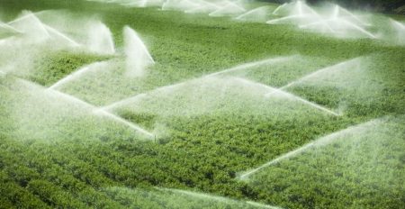 Mesmo com fim da guerra, oferta de fertilizantes deve demorar a normalizar