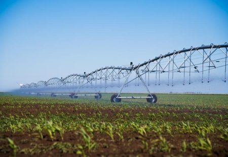 Irrigação transforma produtividade e garante mais segurança ao produtor rural