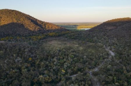 Para preservar o Pantanal, podutores rurais têm ações de conservação remuneradas por programa do Governo de MS