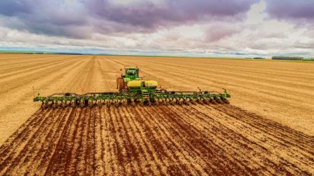 USDA mantém projeção recorde para soja brasileira e reduz estimativa de estoques globais