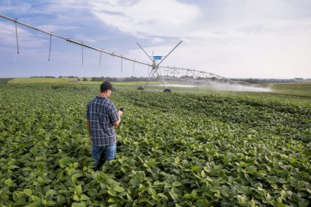 Nova regra para irrigação exige planejamento e amplia papel da tecnologia no campo