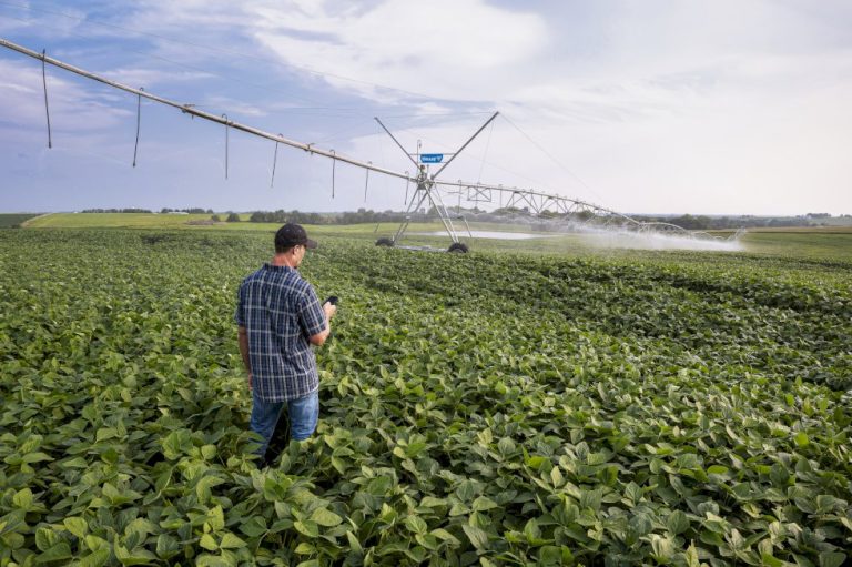 Nova regra para irrigação exige planejamento e amplia papel da tecnologia no campo