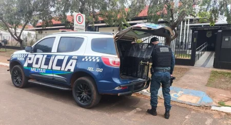 Mulher fica gravemente ferida após agressão; autor é preso e munições são apreendidas em Ivinhema