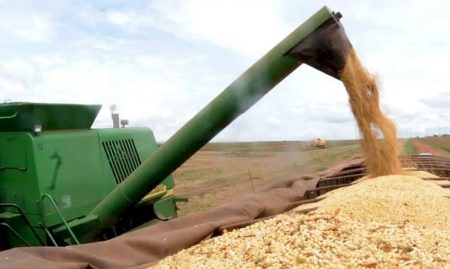 MS registra 2º maior crescimento entre principais estados produtores do país e dispara no agronegócio