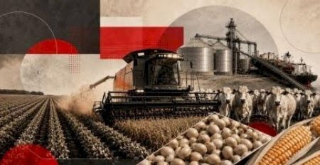 Exportação da agropecuária sobe no ano, puxada por soja e carnes