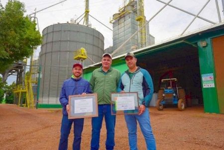 Milho brasileiro ultrapassa 369 sacas por hectare em novo recorde histórico