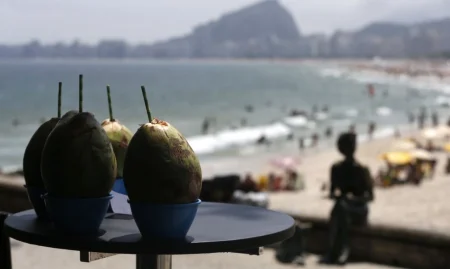 ECONOMIA & NEGÓCIOS / ECONOMIA Gastos de turistas estrangeiros no Brasil soma R$ 25 bi em cinco meses.