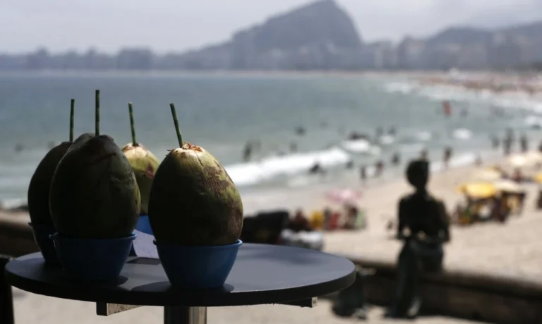ECONOMIA & NEGÓCIOS / ECONOMIA Gastos de turistas estrangeiros no Brasil soma R$ 25 bi em cinco meses.
