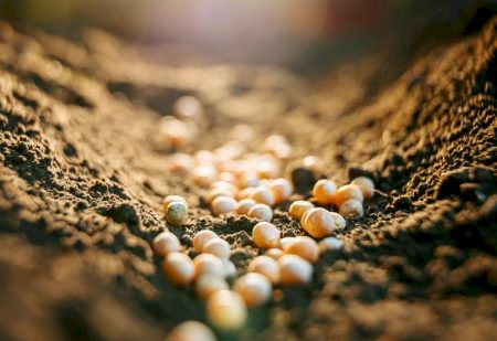 Instabilidade internacional causa aumento no preço de fertilizantes