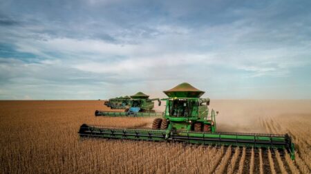 Preços agropecuários caem 9,52% no primeiro semestre de 2026