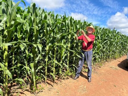 Os 36 bilhões de toneladas que podem definir o futuro da agricultura brasileira