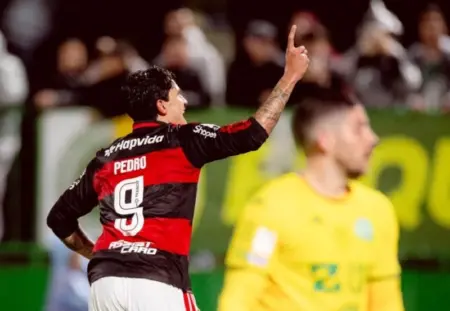 Flamengo goleia a Chapecoense e segue na briga pela liderança.