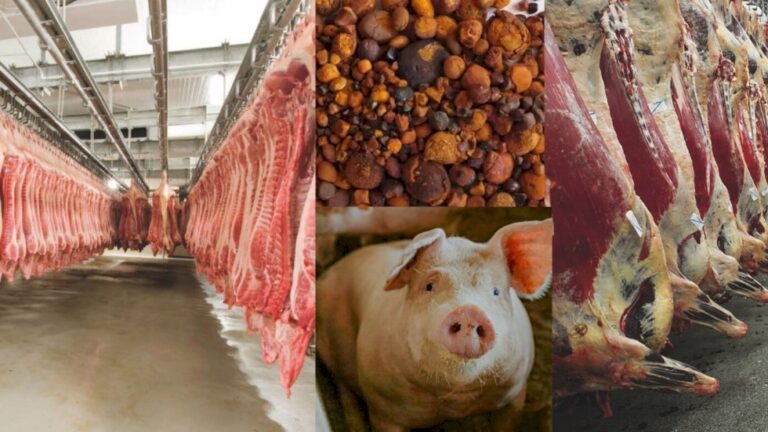 China, Paraguai e Palau abrem mercados para produtos agropecuários brasileiros