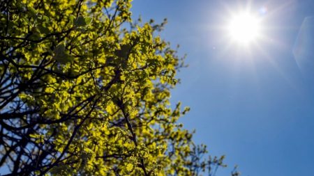 Sábado será de tempo firme e calor durante a tarde em toda a região do Vale do Ivinhema