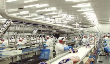 Exportações de frango batem recorde no primeiro semestre.