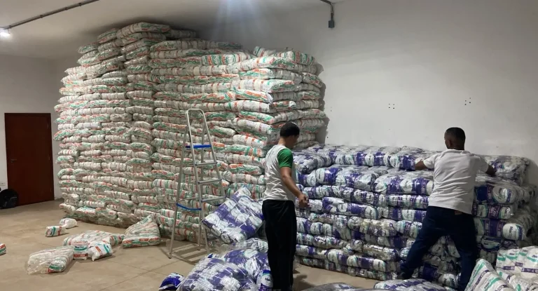 No ano, já são 8.978 empresas abertas, também com forte predominância do setor de Serviços (76,58%). Comércio (20,59%) e Indústria (2.83%) vêm a seguir. Os subsetores da economia que mais se destacaram foram: Holdings não financeiras (49), Atividade Médica Ambulatorial (48), Serviços de Escritório e Apoio Administrativo (39), Representações Comerciais e Agentes de Veículos Automotores (34), Comércio Varejista de Artigos de Vestuário e Acessórios (30), Promoção de Vendas (30), Marketing Direto (30), Atividades de Intermediação e Agenciamento de Serviços e Negócios em Geral (29), Atividades de Consultoria em Gestão Empresarial (23), Lanchonetes e Similares (22).