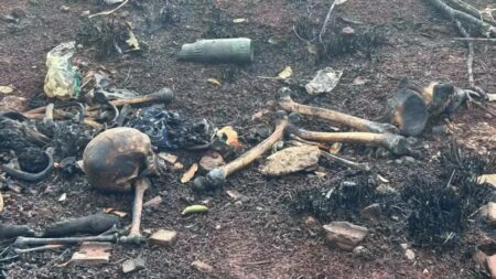 Ossada humana é encontrada em mata; Polícia apura caso em MS