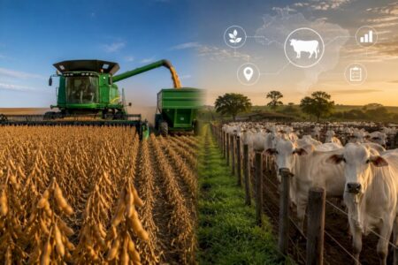 Estudo aponta avanços e desafios na rastreabilidade das cadeias da soja e da carne bovina
