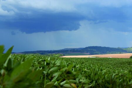 Super El Niño reforça urgência de adaptação climática no agro