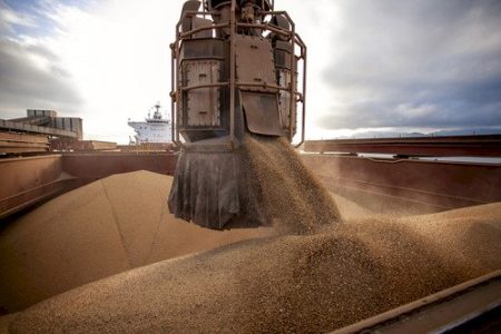USDA eleva exportação de soja do Brasil para 118 milhões de toneladas