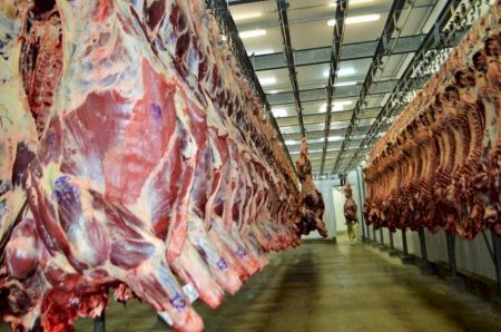 Governo ajusta controles de exportação de carnes para atender exigências contra antimicrobianos da UE